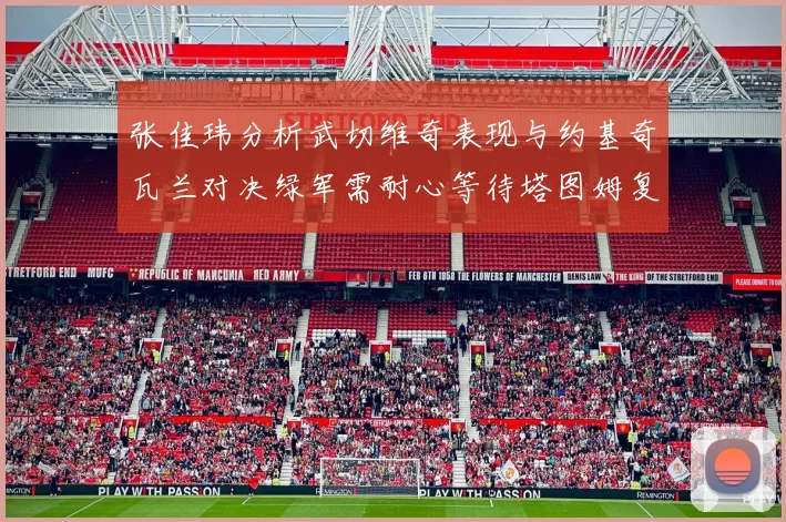 张佳玮分析武切维奇表现与约基奇瓦兰对决绿军需耐心等待塔图姆复出