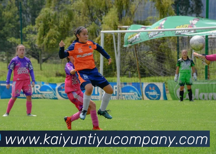 App Interface Preview